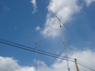 ED8R - CQ WPX SSB 2009