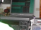 EF8A - CQ WW DX SSB 2006