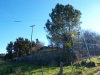 Ver fotos de VGBI-124 por EC2AMN